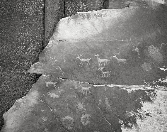 Puebloan Petroglyphs, 2015