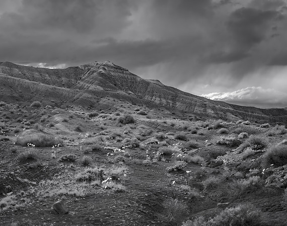 Rain Clouds, Capitol Reef, 2015