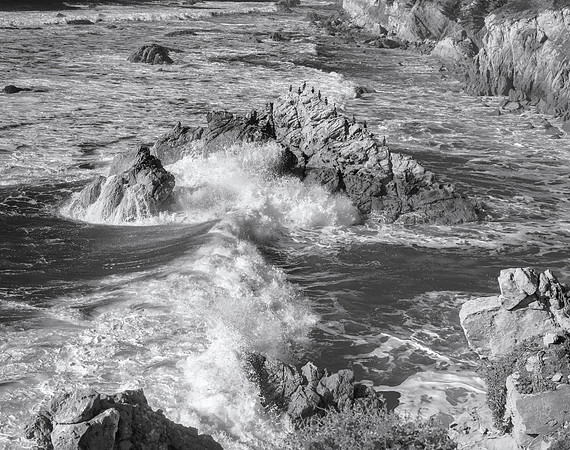 Near Del Mar Point #4, Sonoma, 2015