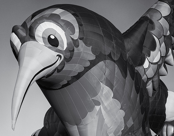 Hummingbird Balloon