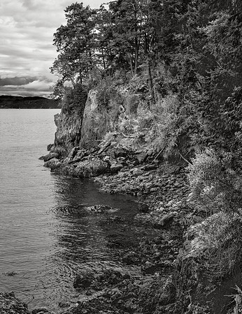 Upright Head #1, Lopez Island, 2015