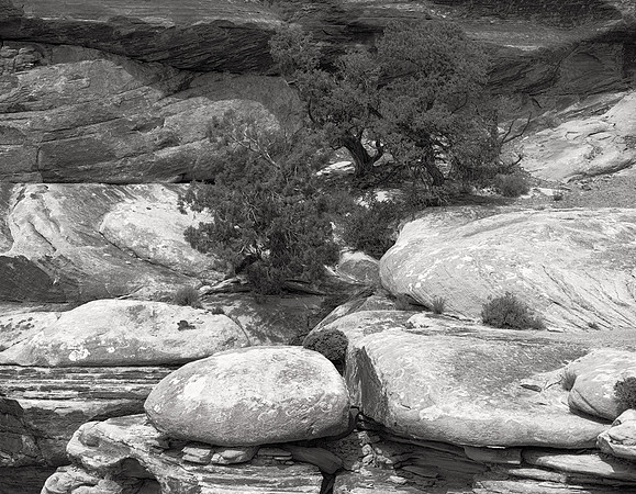 Needles District No. 1, Canyonlands, 2014