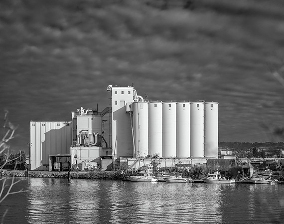 Miller Milling Co. #1, Oakland, 2015