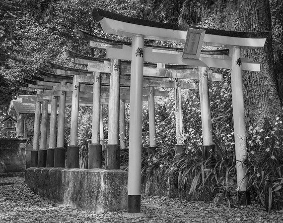 Suntory Shrine No. 1, 2016