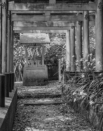Suntory Shrine No. 2, 2016