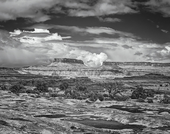 Needles District No. 2, Canyonlands, 2016