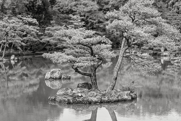Island in the Mirror Pond No. 2, Kinkaku-ji, 2016