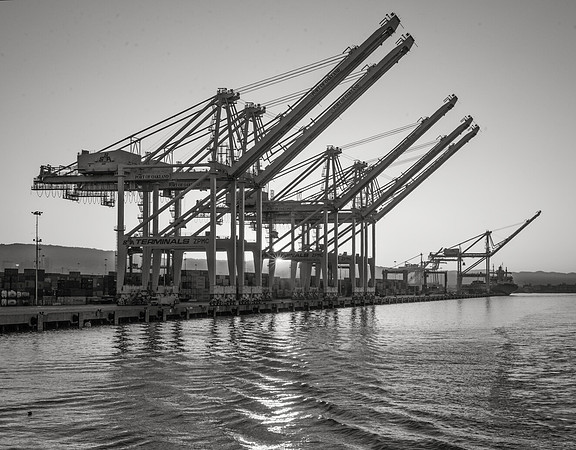 Loading Cranes #25, Port of Oakland, 2016