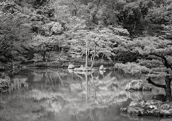 Island in the Mirror Pond No. 3, Kinkaku-ji, 2016
