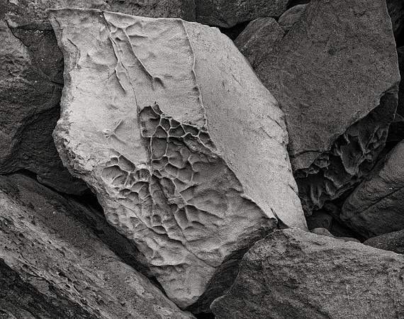 Weathered Sandstone No. 6, Gualala Point, 2020