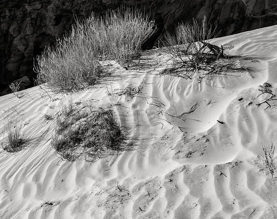 Sand Dune No. 1, Toadstool Hoodoos, 2017