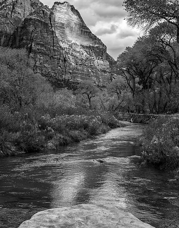 The Spearhead, Zion, 2017