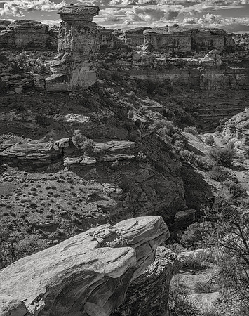 Big Spring Canyon No. 1, Canyonlands, 2021