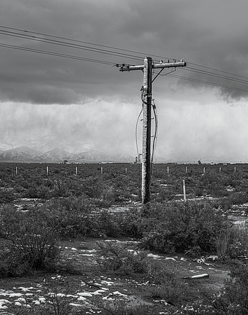 Snow-Covered Telephone Pole, Nevada, 2021