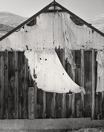 Tattered Tarp, Bodie, 2021