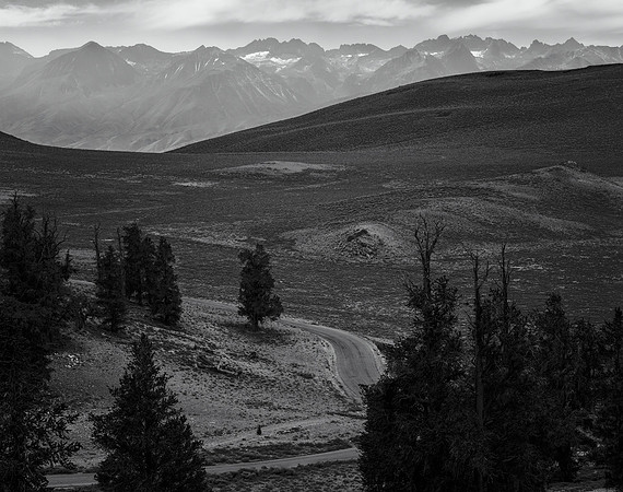 The Sierra Crest No. 1 From the White Mountain Discovery Trail,