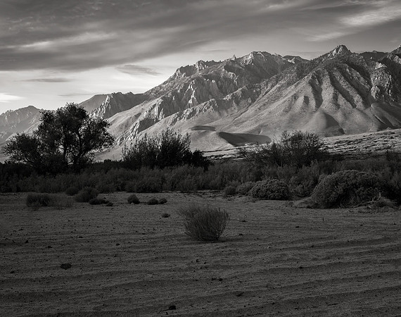 The View From Aberdeen, Owens Valley, 2021