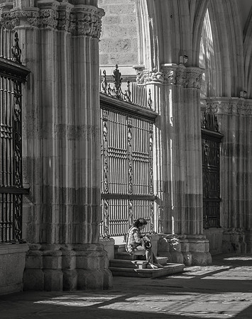 Resting Visitor, Cathedral of Toledo, 2016
