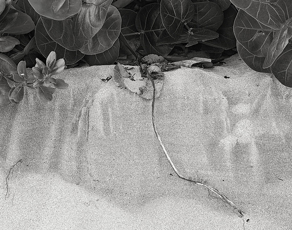 Sculpted Sand No. 4, Waialua Beach, 2016